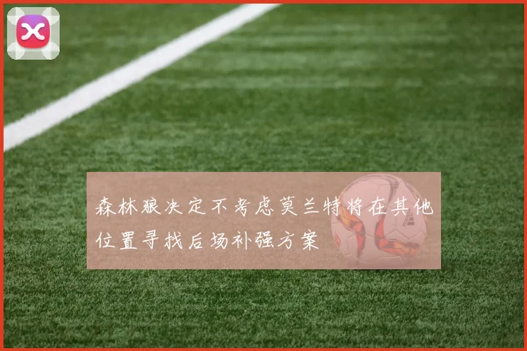 森林狼决定不考虑莫兰特将在其他位置寻找后场补强方案